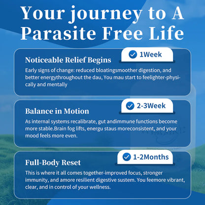 ɪᴠᴇʀMK 12 - SANEY LAB